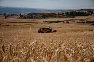 WhatsApp Image 2025-07-05 at 13.08.21 (1)