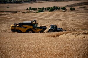 WhatsApp Image 2025-07-05 at 13.08.21 (2)