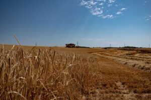 WhatsApp Image 2025-07-05 at 13.08.21 (3)