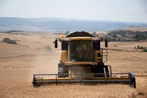 WhatsApp Image 2025-07-05 at 13.08.21