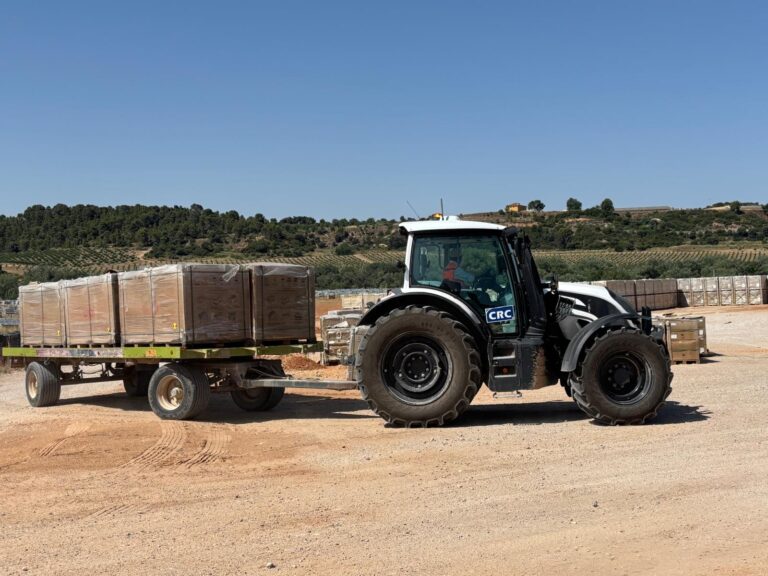 WhatsApp-Image-2025-07-06-at-21.42.34-2