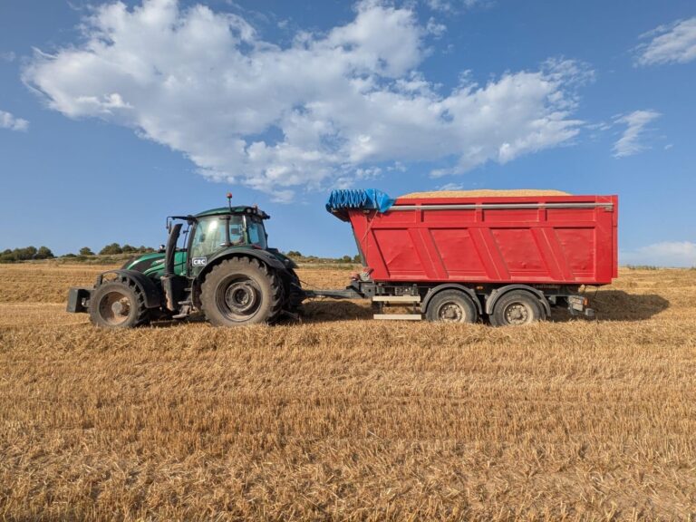 WhatsApp-Image-2025-07-06-at-21.43.41-1